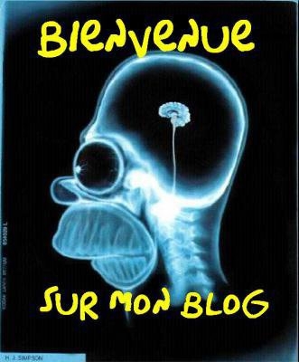 bienvenue sur mon blog