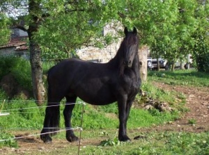 ancore et toujour Anna