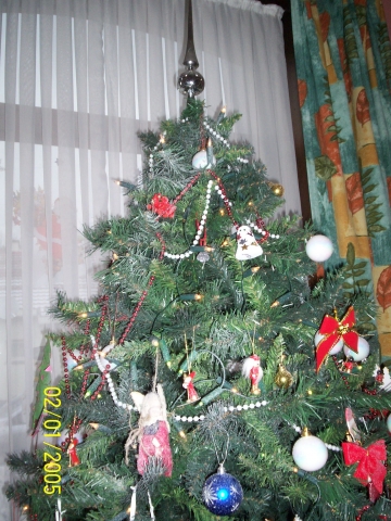 sapin 