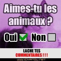 les animaux ???