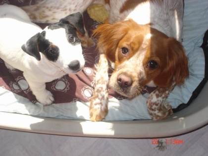 !!!!!!!!!!!!!!!!!!!!!!