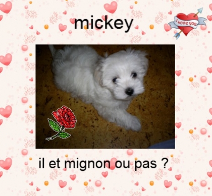 mickey