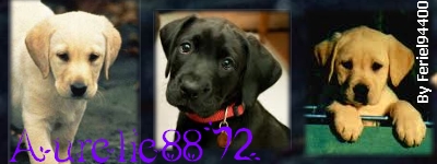 Les sites o� je suis inscrite