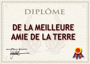JE TE DESENE LE DIPLOME DE .....................................