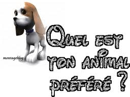 quelle animal est tu