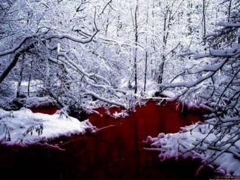 la neige et le sang