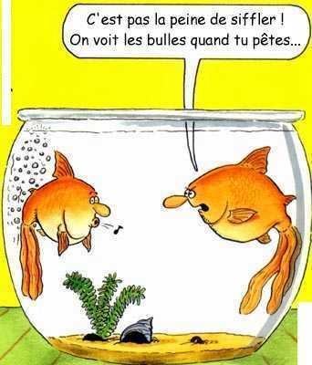 DeS BlAgUeS