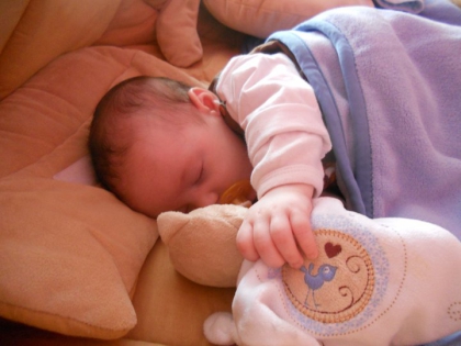 ton petit  frere ma puce