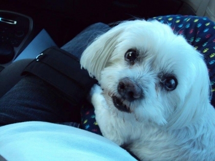 LOUKA MON GRAND FERE