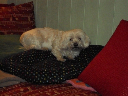 LOUKA MON GRAND FERE