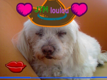 POUR MON GRAND FRERE < MON CHIEN >