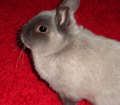 Je vous aime toutes !!!