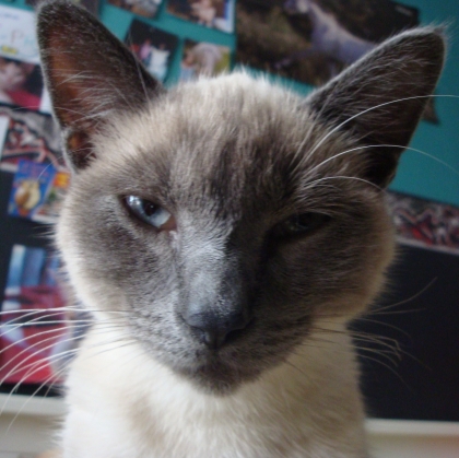 LISSEZ BIEN ET QUOI FAIRE AIDER MOI 