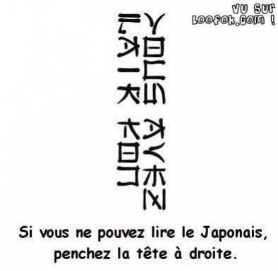 Si tu sais pas lire le Japonnais sa fait rien !