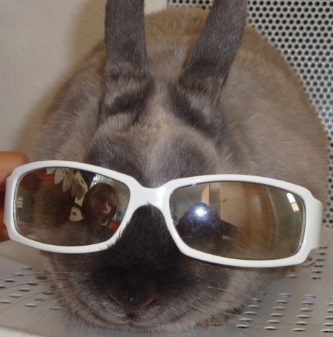 S'IL VS PLAIE LISSEZ BIEN TOUT 