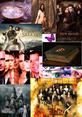 Mes srie prfres - photo 2