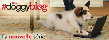 doggyblog - photo 2