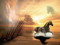     j'adore!!!!!!!!!!!!!!!!!!!!