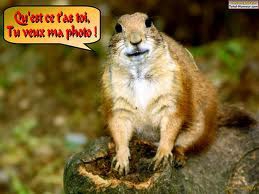 T'veux ma photo ?? j'rigole...