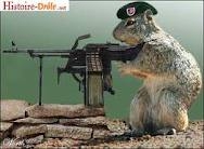 ♥ Quelques images rigolotes...!