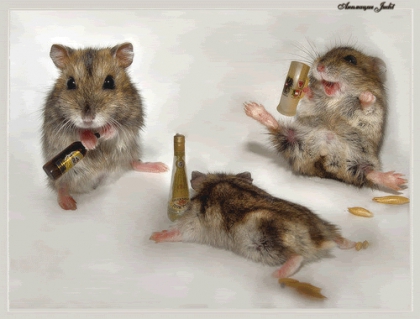 On fete quoi ???!!!!