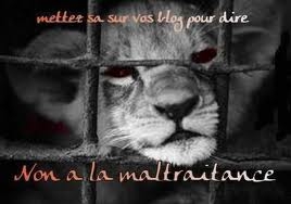 la maltraitance des animaux