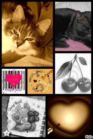 encore mes tits sherry<3!!!!!!!!!!!!!!!!!!