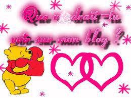 ke voudrait tu voir sur mon blog?