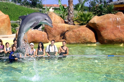 soigneuse de dauphin - photo 2