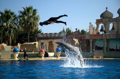 soigneuse de dauphin