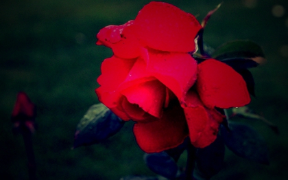 Pome pour la mort de mon pre