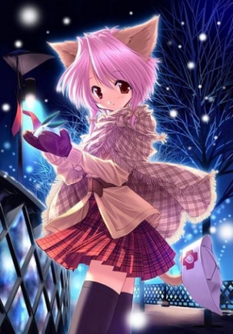 la jeunne fille