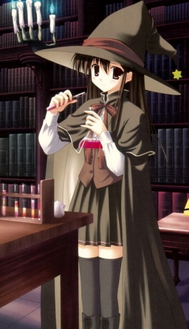 la sorciere