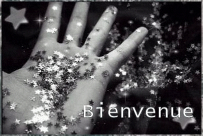 bienvenue , welcome , bonjourno ...