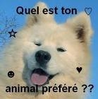 Alez d�cide toi!!!!!!!!!!