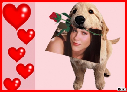 je t'aime mon petit chien