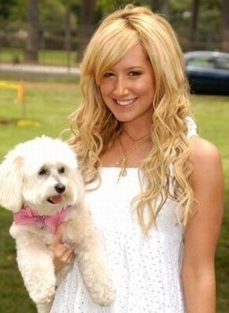vous aimez Ashley Tisdale/Sharpay