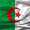 Drapeau algerie