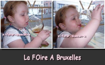 La foire de Bruxelle 