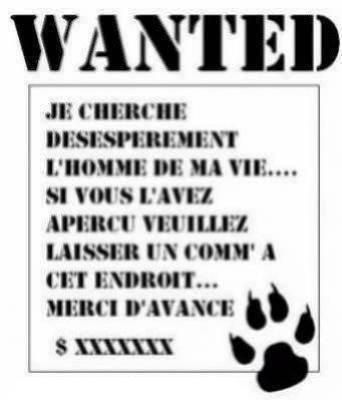 Cherche d�sesp�r�ment un mec >.<