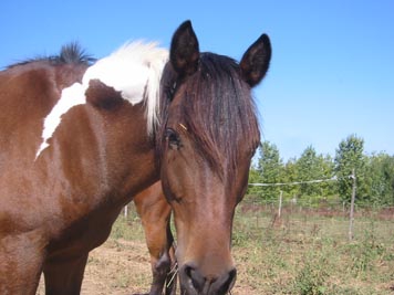 trop beau :!!!!!!!!!!!!!!!!!