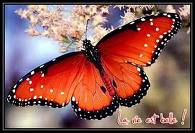 Phrase invent� par moi !