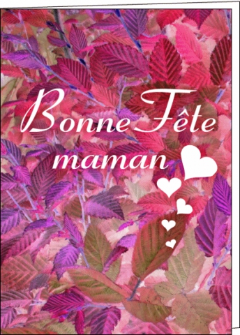 la  fte      des  mre      