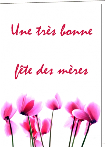 Aujourd'hui c la f�te des m�res