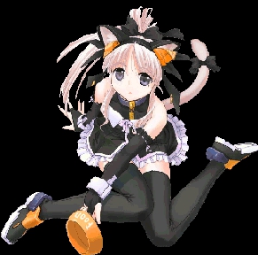 lla fille chat