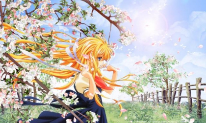 image manga