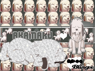 Akamaru : le chien de kiba inuzuka