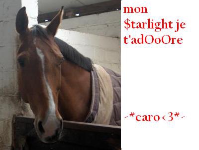 mon cheval ch�ri 