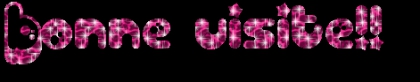 bonne  visite