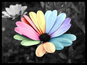 petite r�v�lation 